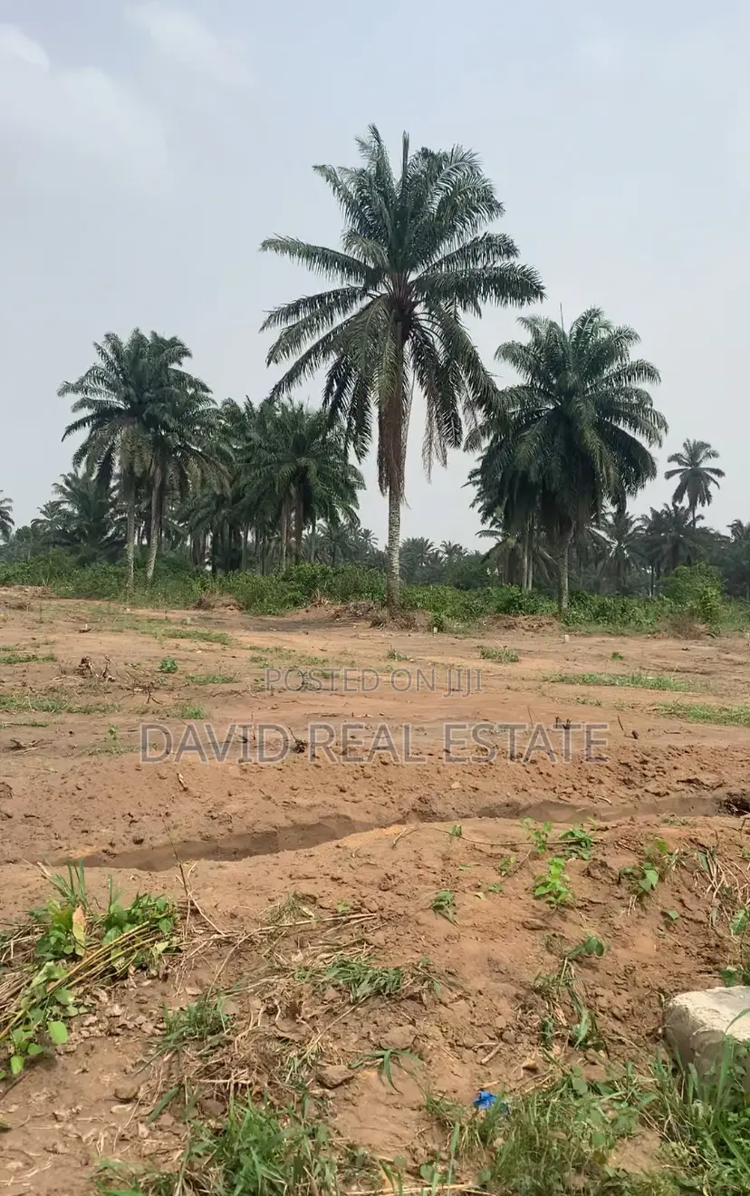 Land for Sale - Eneka Ring Road in Eneka
