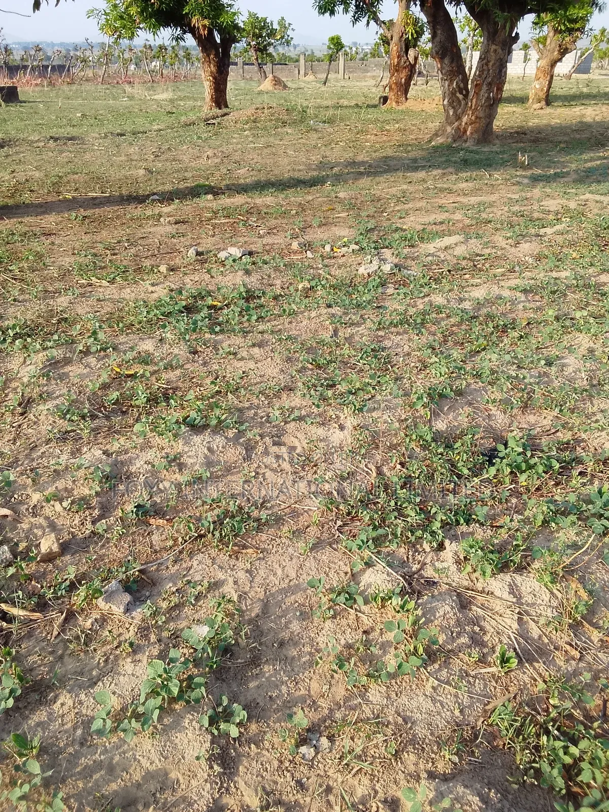 100 Hectares Land at Apo Wasa in Wasa