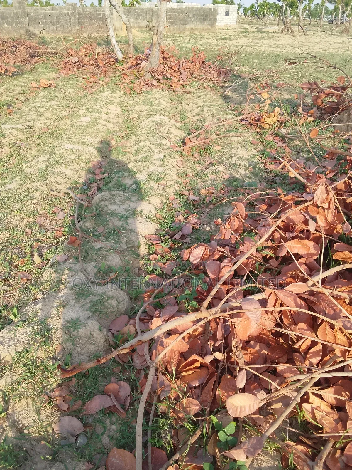 1000 SQM Land at Lifecamp Dape in Dape