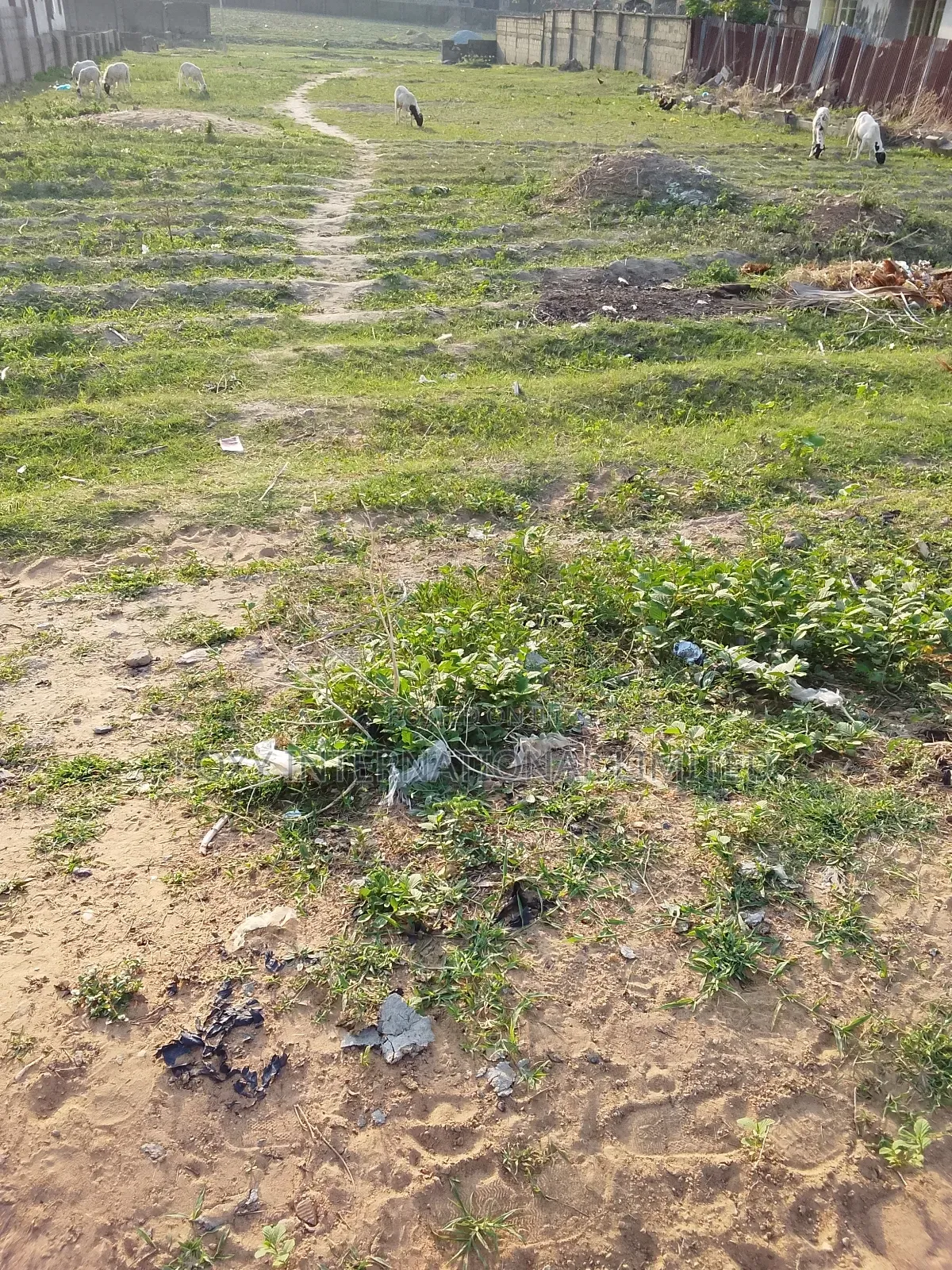 10 Hectares at Kyami in Kiami