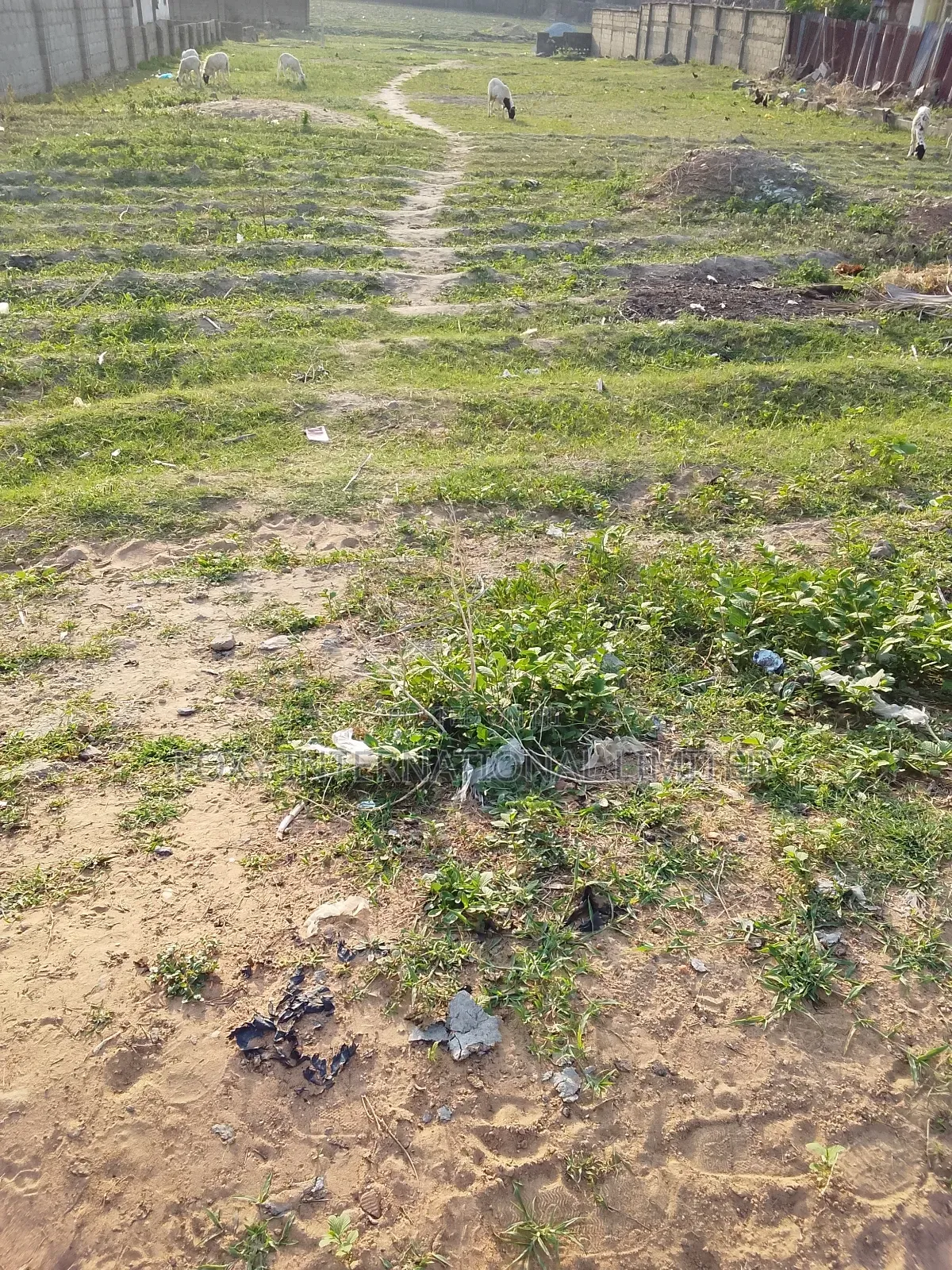 10 Hectares at Kyami in Kiami