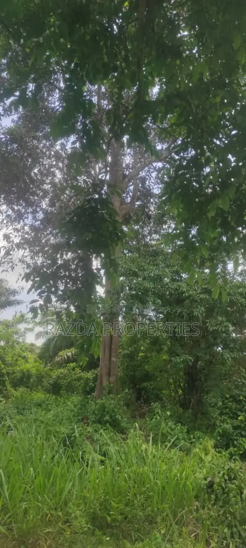 1 Acre of Farmland Near Ilaji Resort in Omi Adio