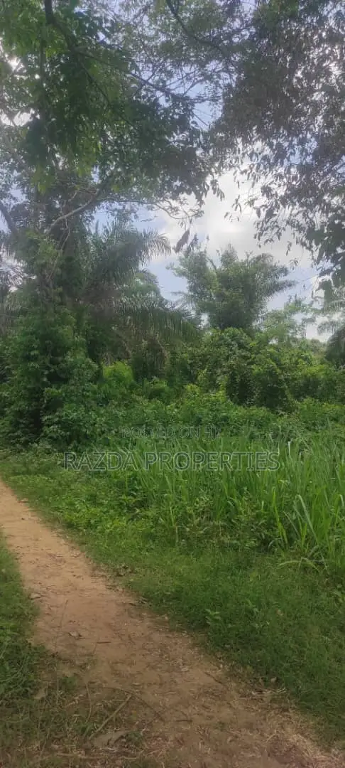 1 Acre of Farmland Near Ilaji Resort in Omi Adio