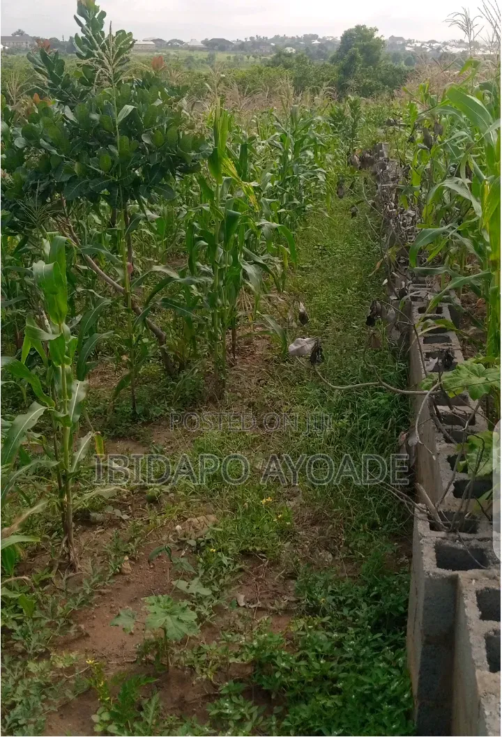 812sqm Serial Plot A B in Kuje
