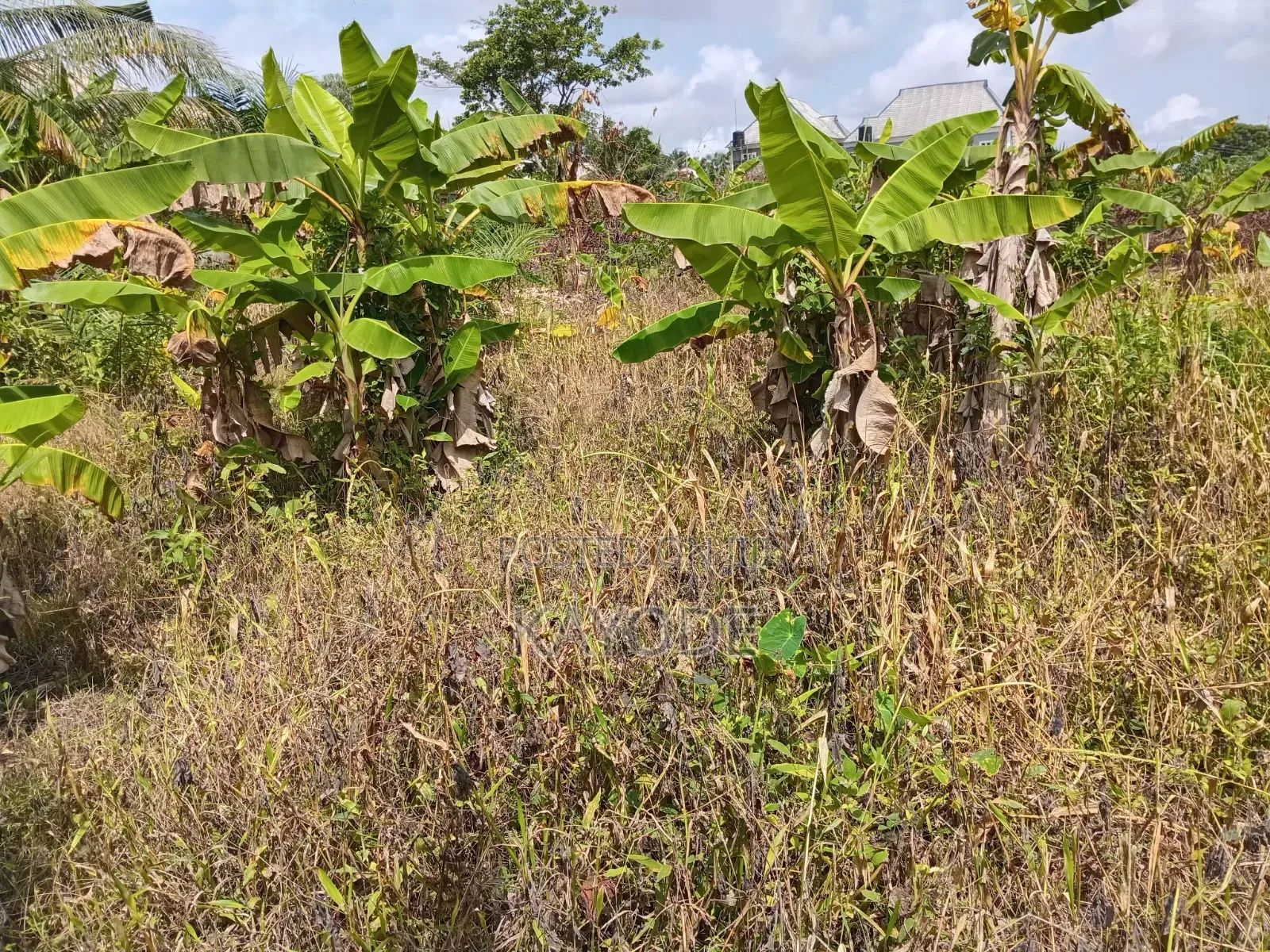 985 Prime Parcel of Land at Valley View Community in Abeokuta South