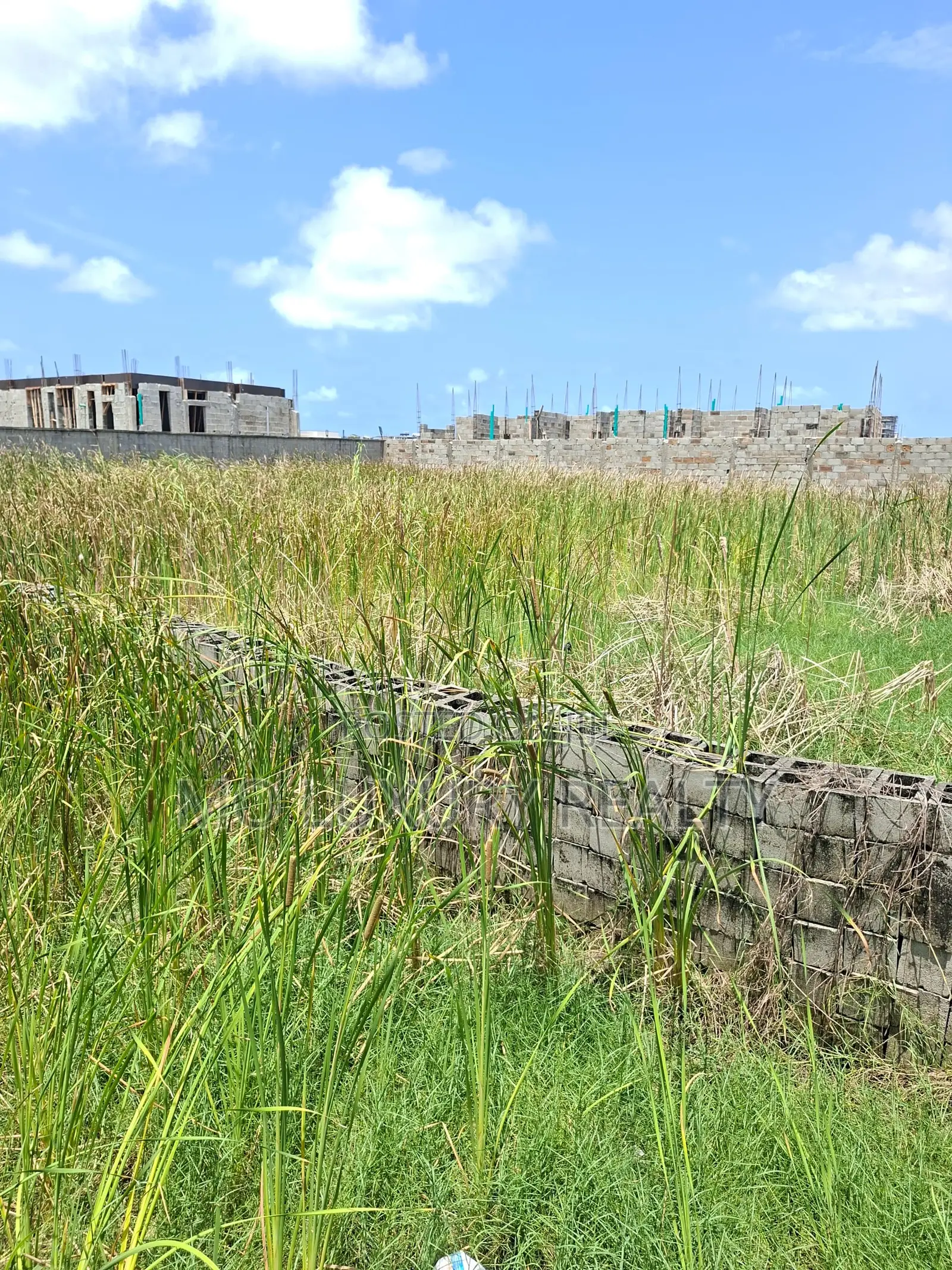 500 SQM Dry Land at Lekki Foreshore Estate in Ikate