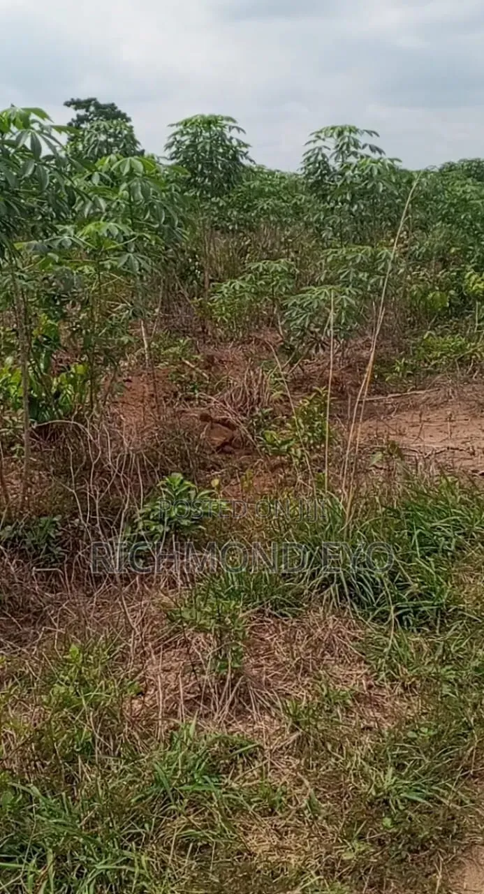 Plot of Land for Sale in Epe Road