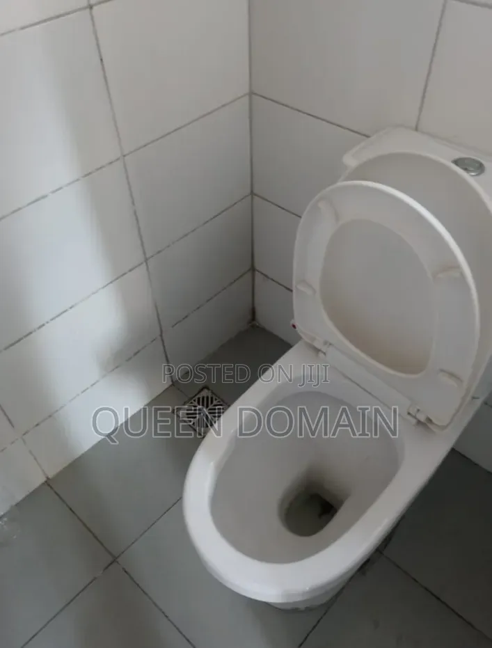 1bdrm Block of Flats in Thera Peace Estate, Sangotedo for rent in Sangotedo
