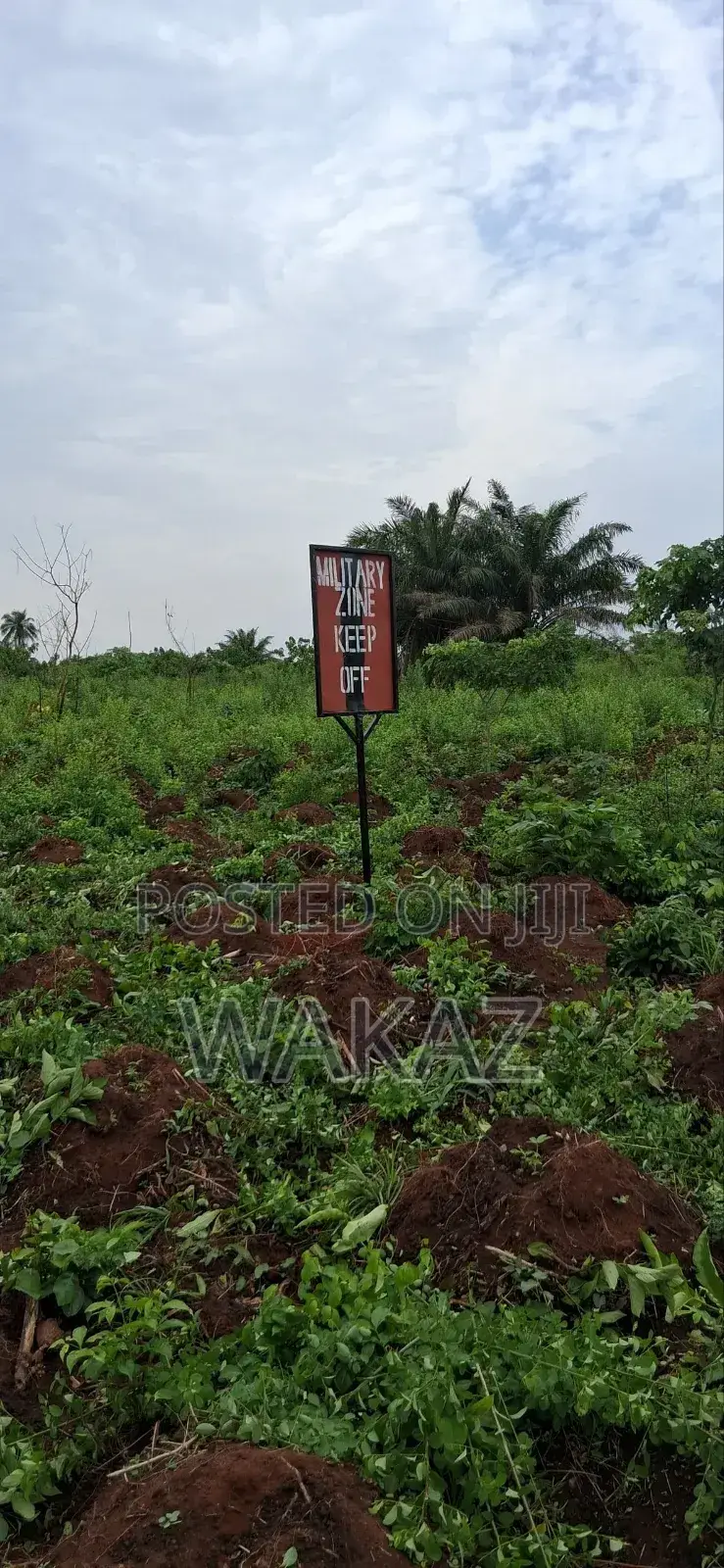 Farm Land for Rent in Obafemi-Owode