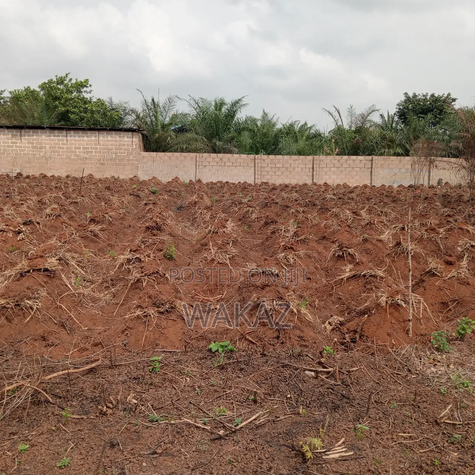 Farm Land for Rent in Obafemi-Owode