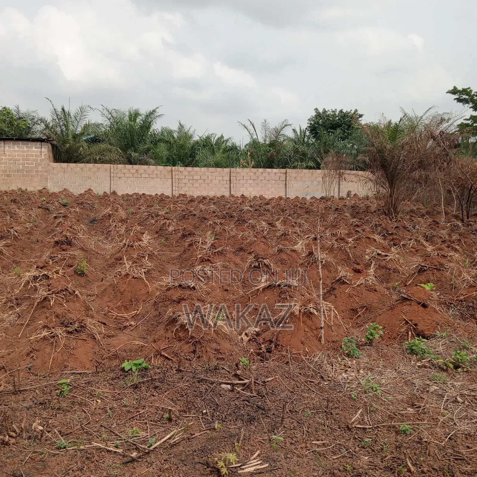 Farm Land for Rent in Obafemi-Owode