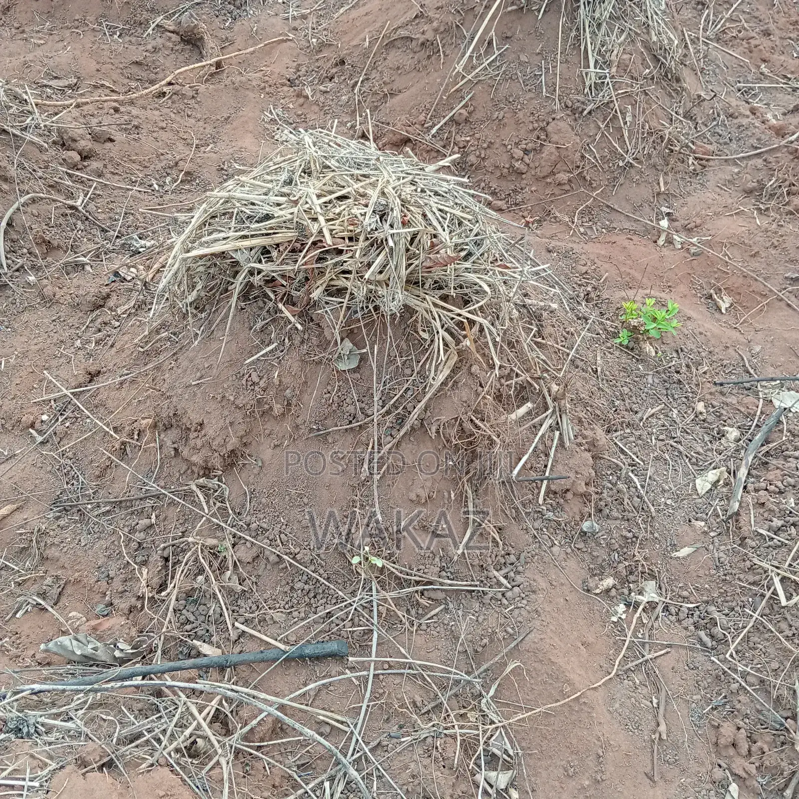Farm Land for Rent in Obafemi-Owode