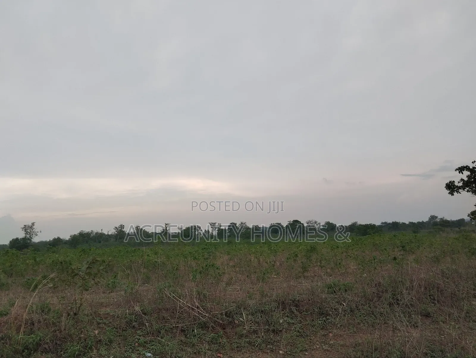 22 Acres of Commercial Land Available at Alapata, Iseyin Ibadan Road in Iseyin