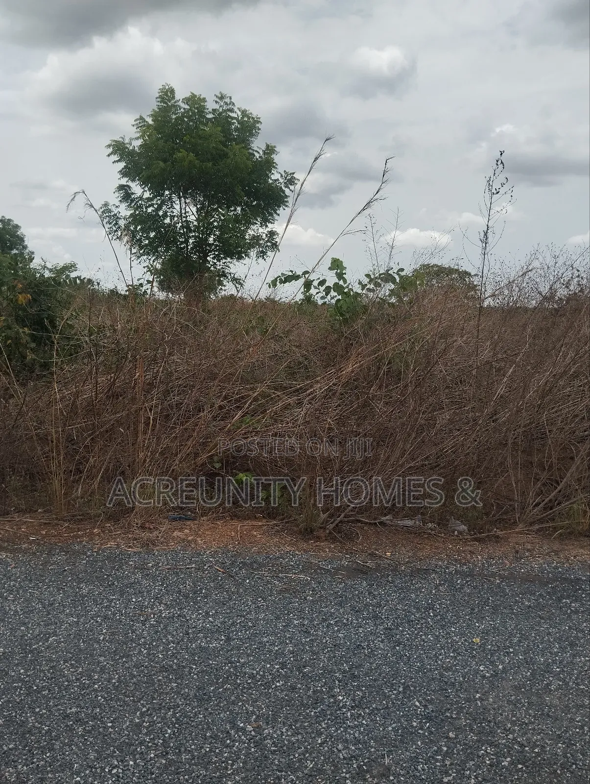 22 Acres of Commercial Land Available at Alapata, Iseyin Ibadan Road in Iseyin