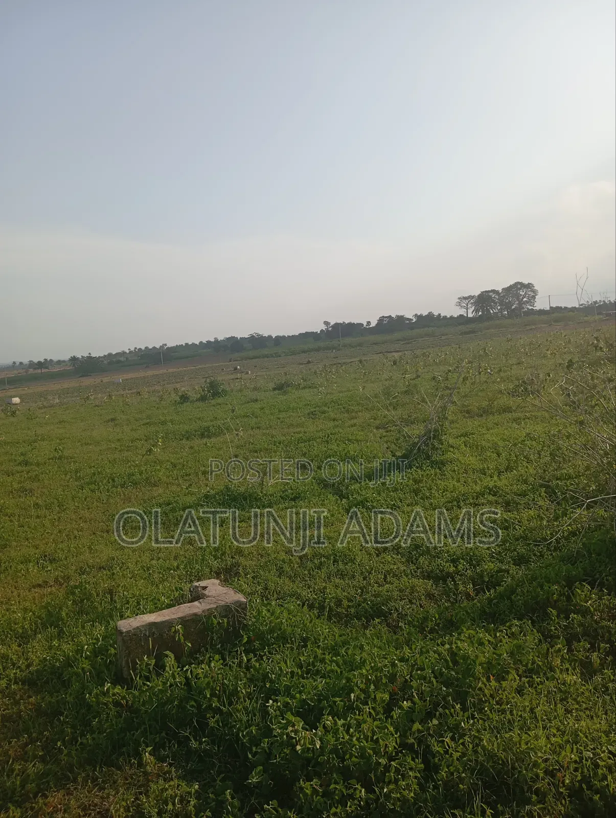 1acre of Land at Agric After Fountain University Osogbo in Osogbo