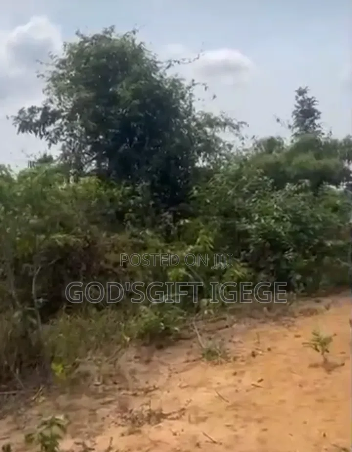 Table Dry Land in Eneka, Fast Developing Area, Flexible Payment Plan in Eneka