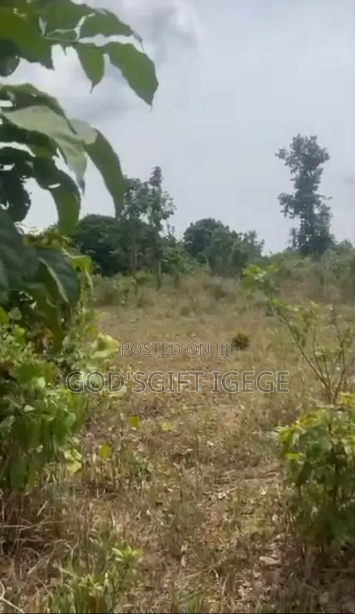 Table Dry Land in Eneka, Fast Developing Area, Flexible Payment Plan in Eneka
