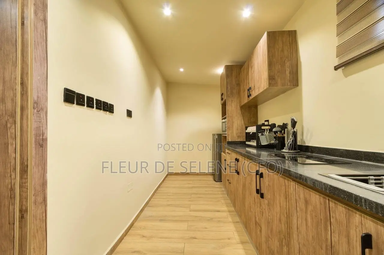 Furnished 1bdrm Apartment in Lekki Phase 1 for rent in Lekki Phase 1