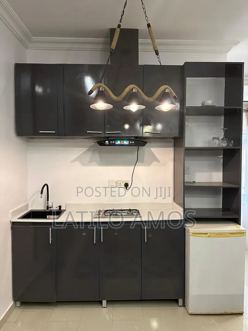 Furnished 1bdrm Apartment in Lekki Phase 1 for rent in Lekki Phase 1