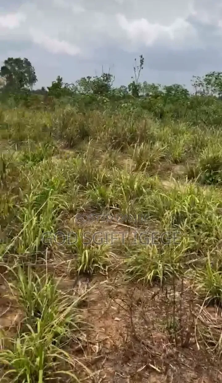 Table Dry Land in Eneka, Fast Developing Area, Flexible Payment Plan in Eneka
