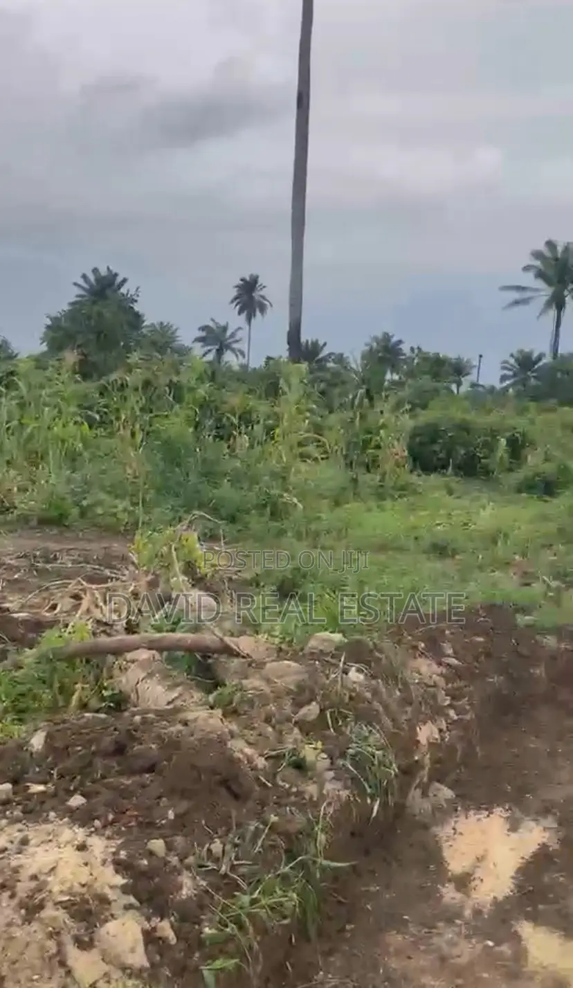 Land for Sale – Omagwa (Port Harcourt) in Omagwa