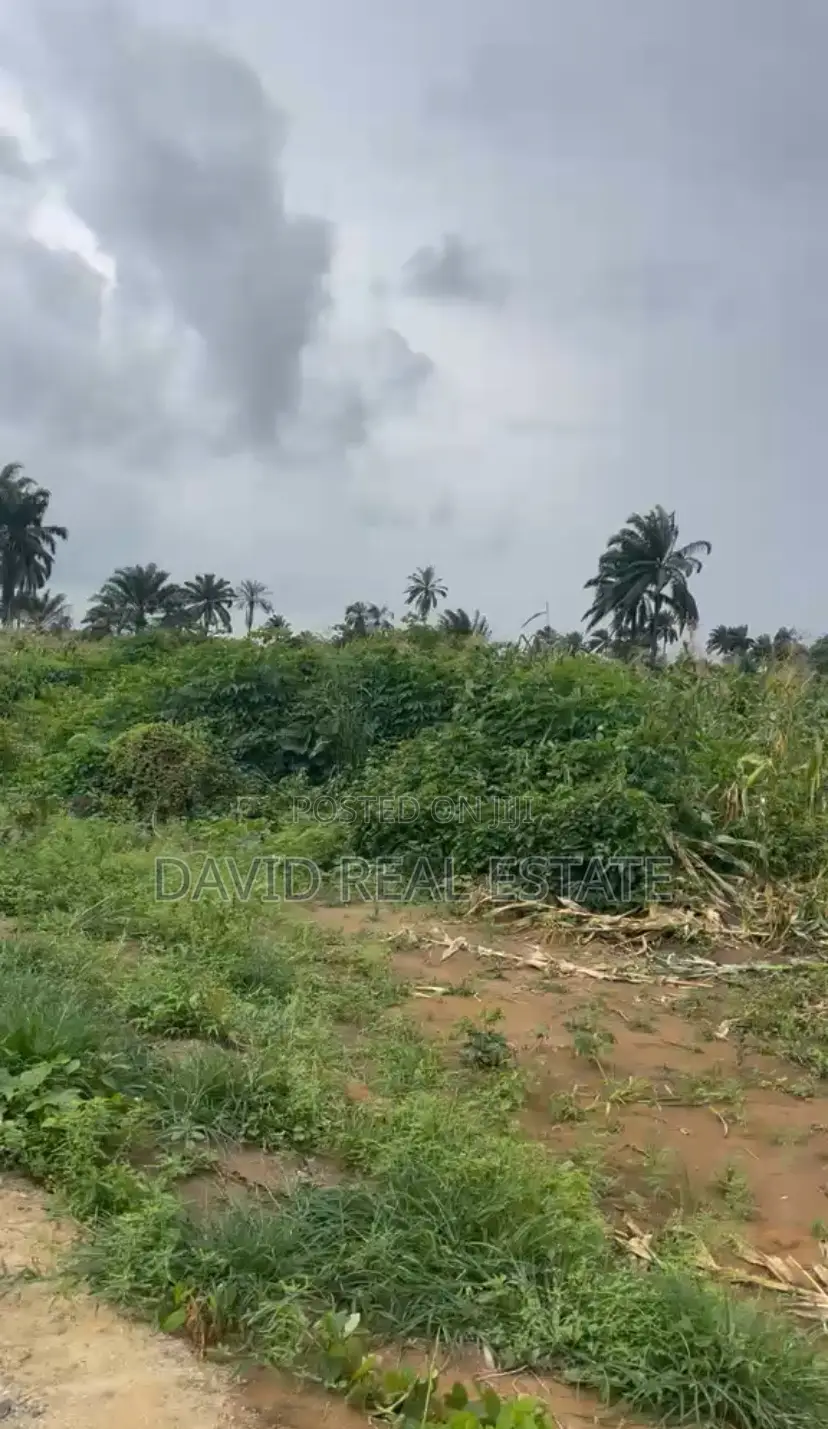 Land for Sale – Omagwa (Port Harcourt) in Omagwa
