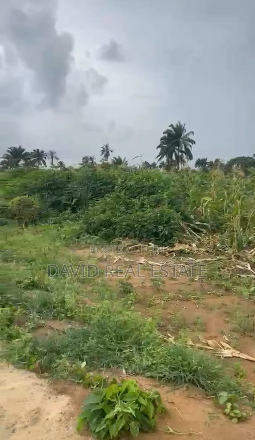 Land for Sale – Omagwa (Port Harcourt) in Omagwa