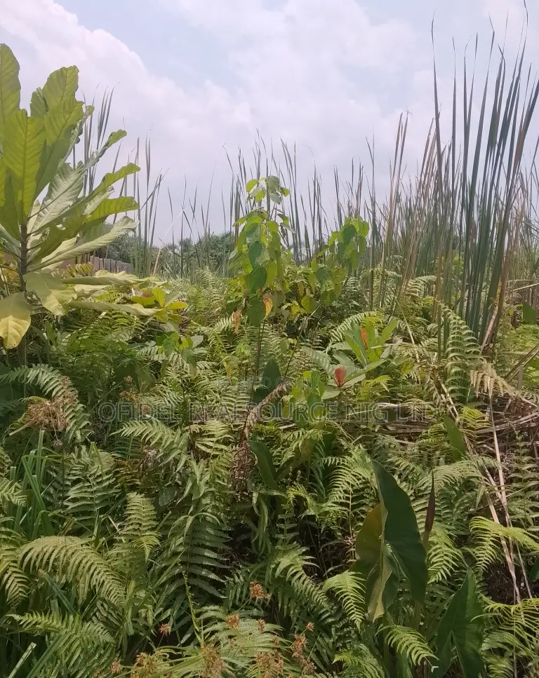 Premium 5plots of Land Together Within Maba/ Christ Embassy Camp in Obafemi-Owode