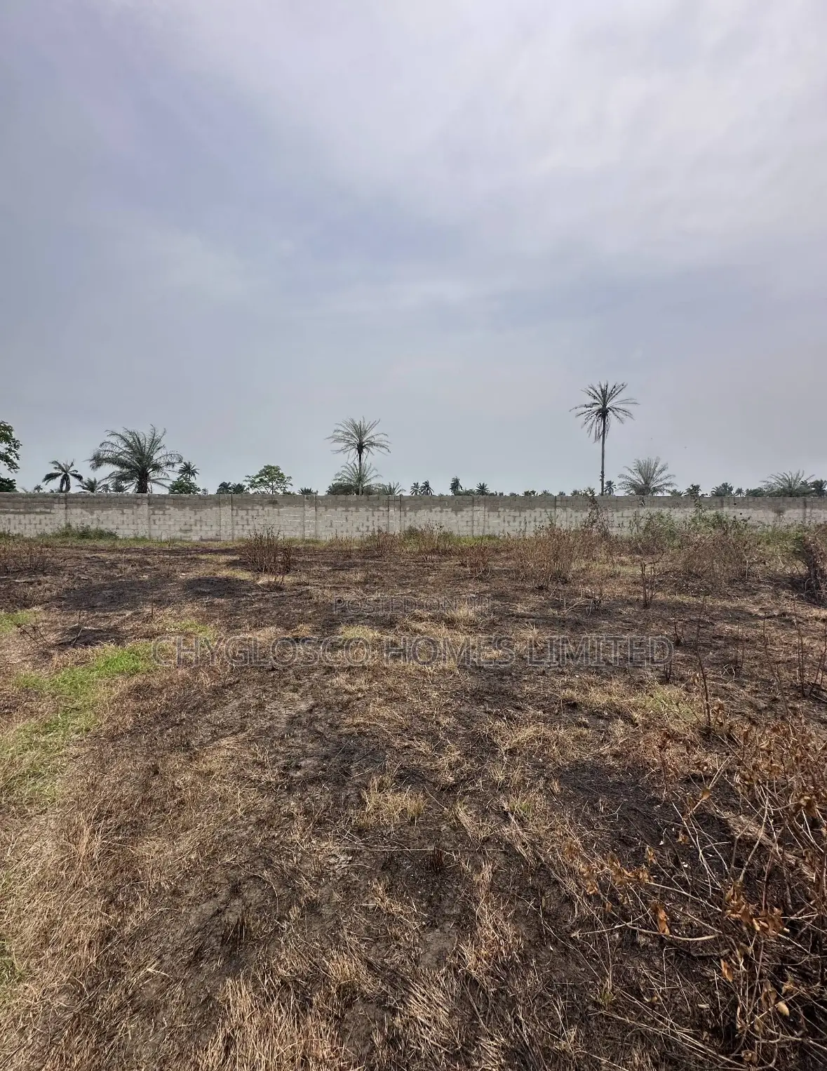 Estate Plots Of Land For Sale At Omagwa, Port Harcourt in Omagwa