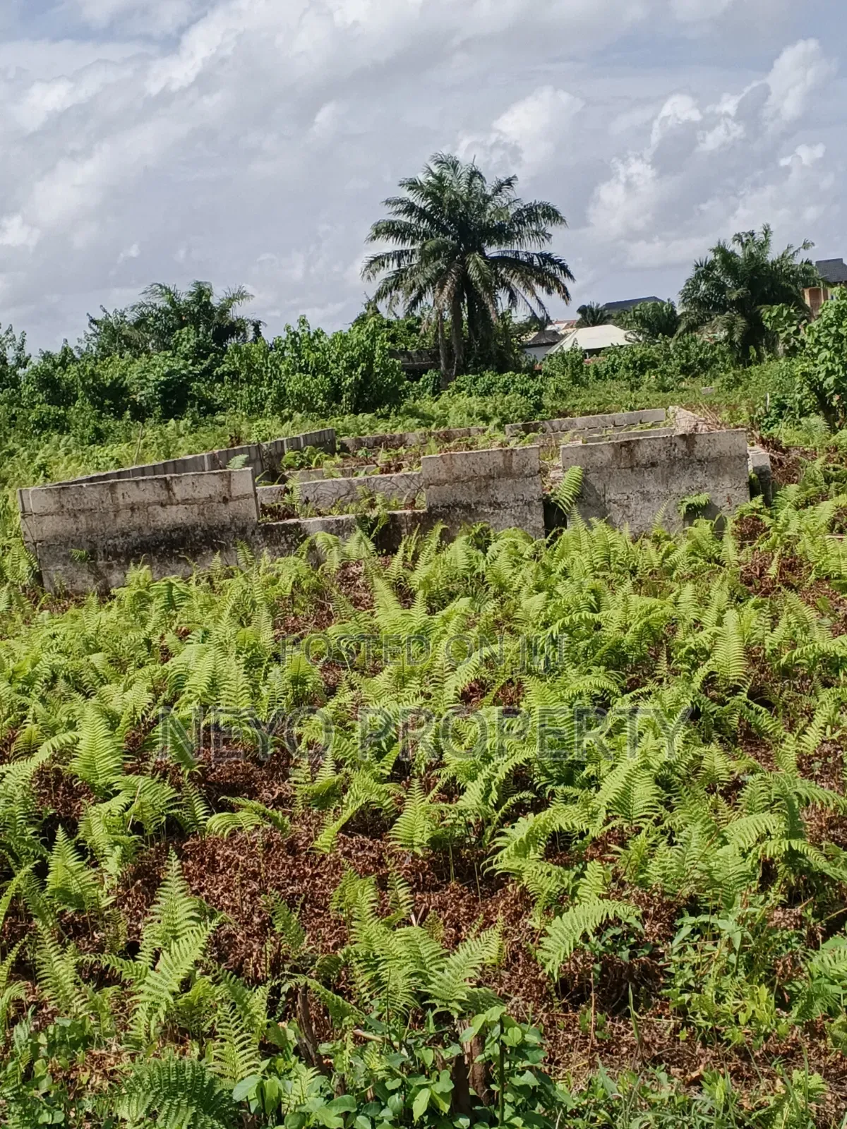 Family Drive in Igbogbo