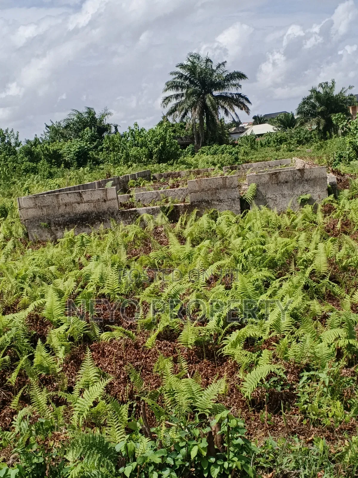 Family Drive in Igbogbo