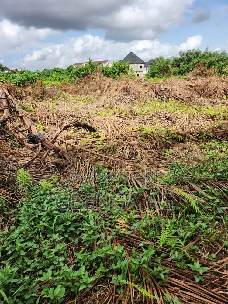 Half Plot of Land for Sale at Isheri Olofin Lagos in Alimosho