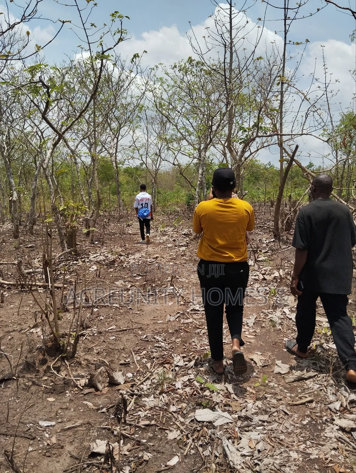 100 Acres of Farmland Available at Sirafu Village, Iseyin, Oyo State in Iseyin