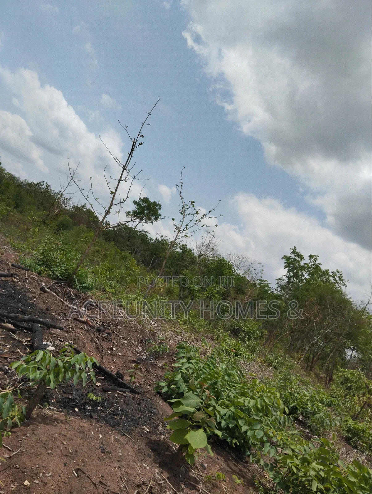 100 Acres of Farmland Available at Sirafu Village, Iseyin, Oyo State in Iseyin