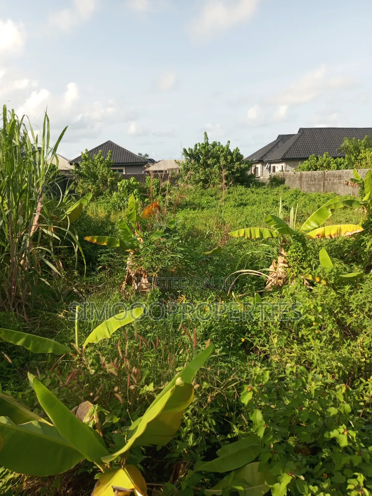 A Plot of Dry, Fenced and Gated Land for Sale at Igando Oloja in Ibeju