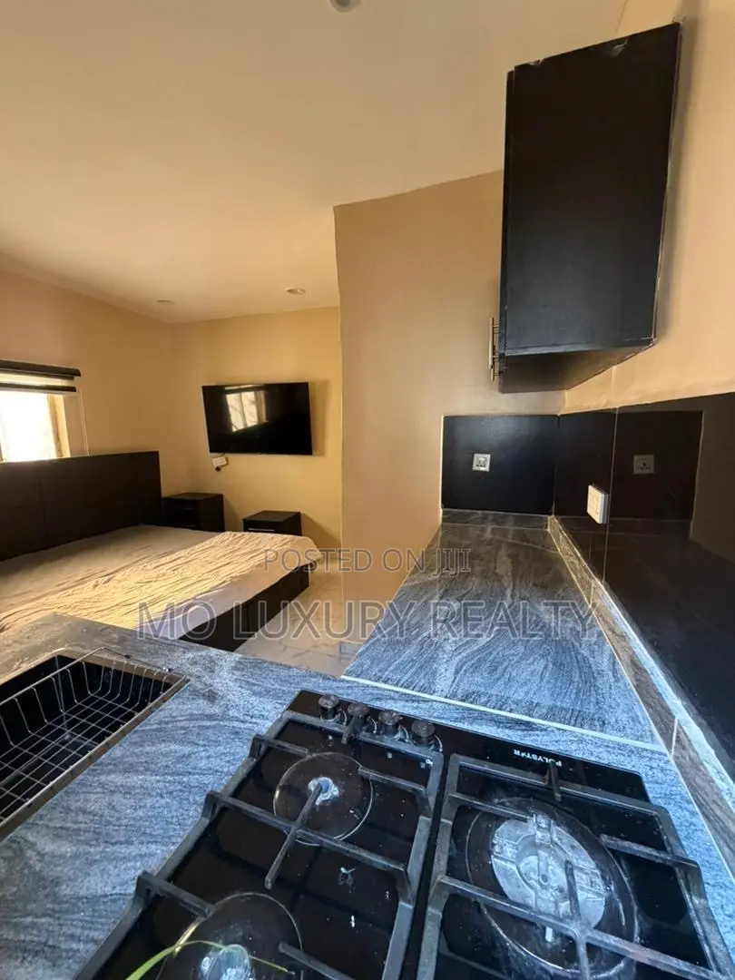 Furnished Studio Apartment in Victoria Island for rent in Victoria Island