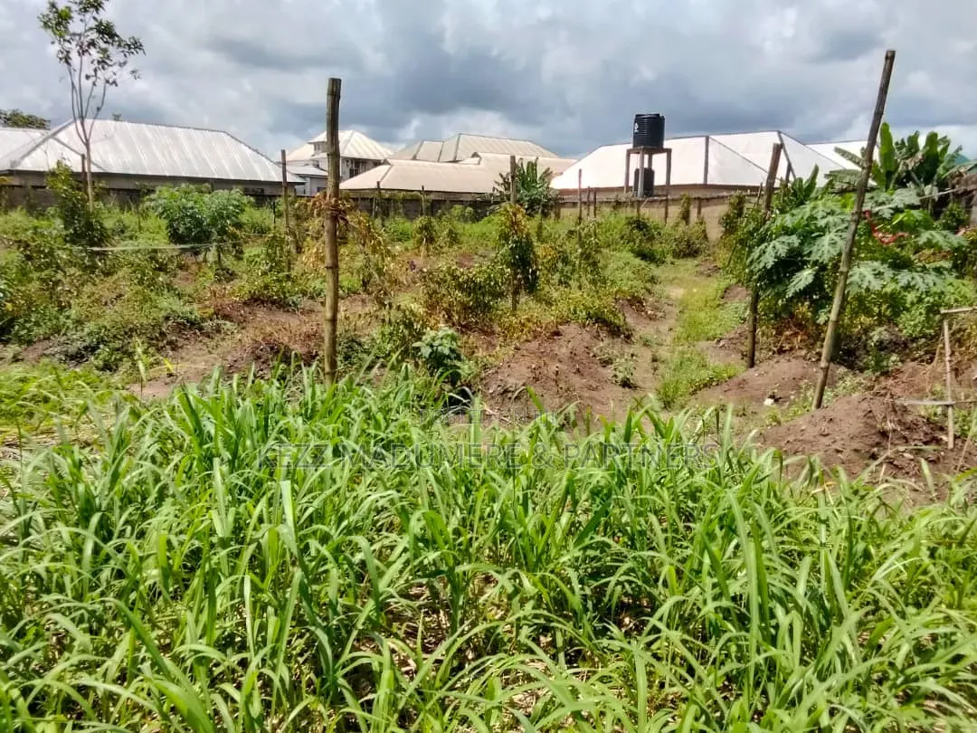 For Sale : 23 Plots at Aba Road, Naze, Owerri, Imo State in Owerri