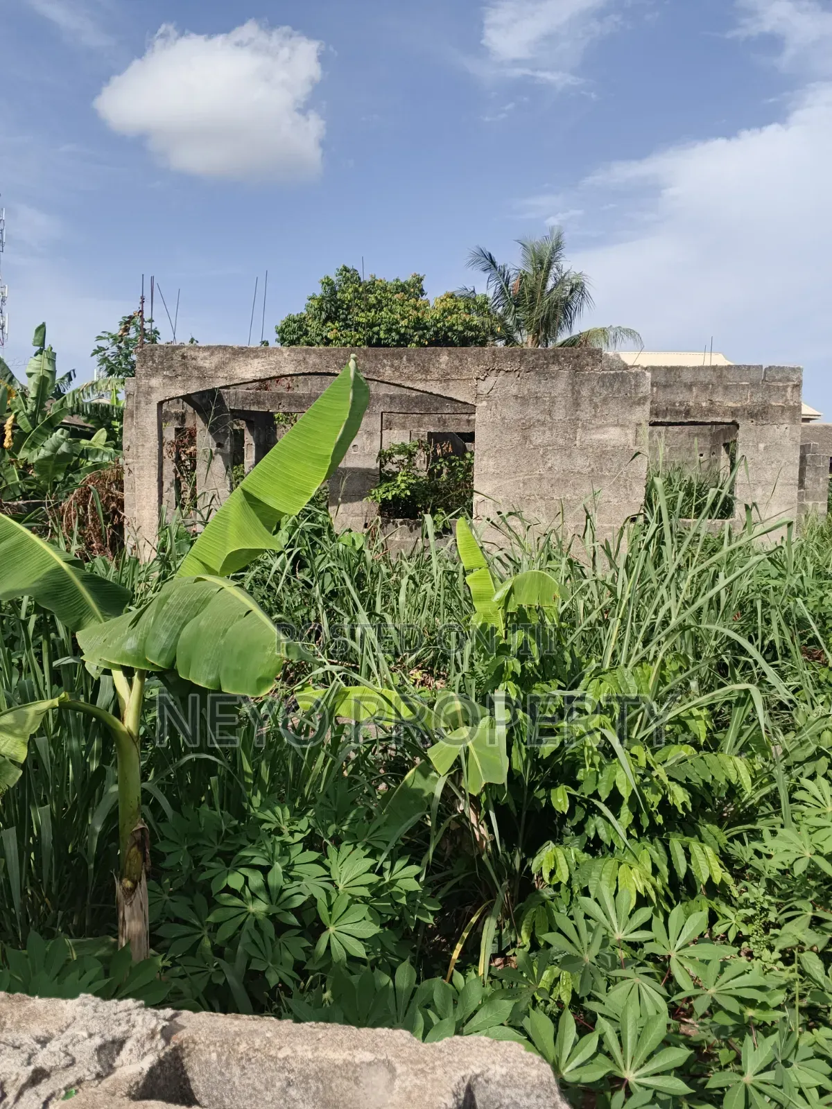 Family Deed Adeshina in Igbogbo
