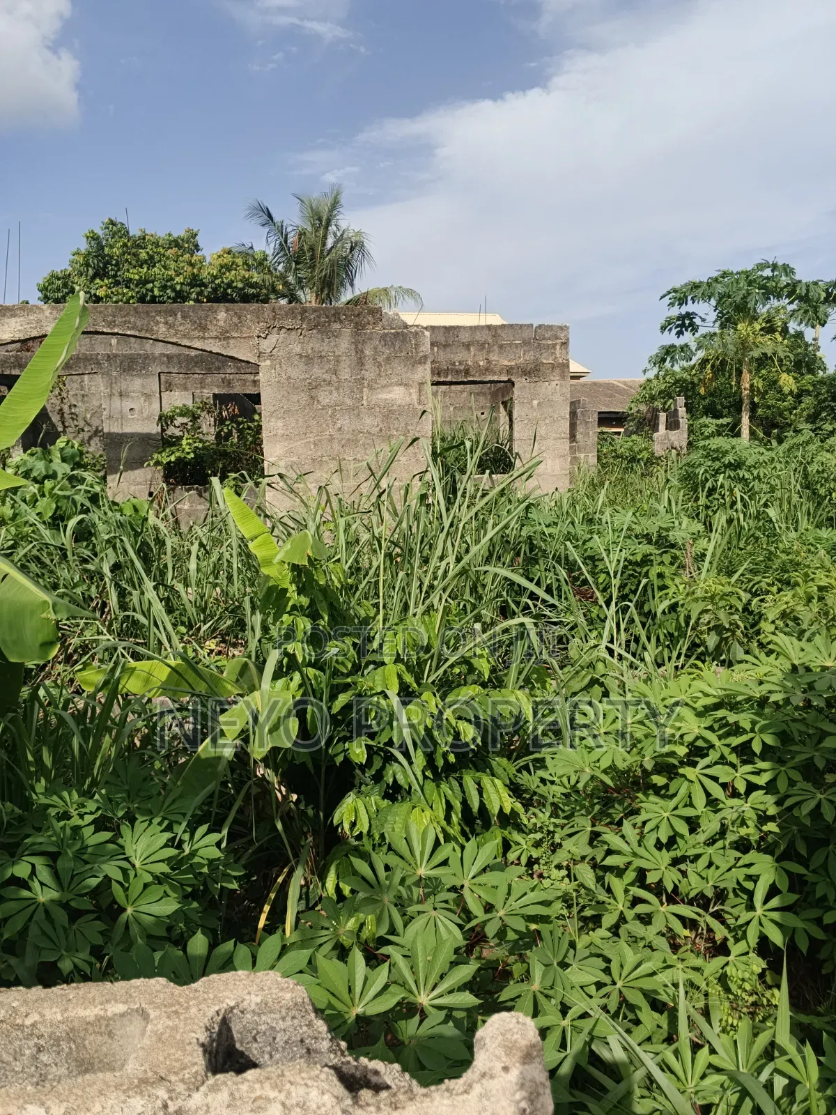 Family Deed Adeshina in Igbogbo