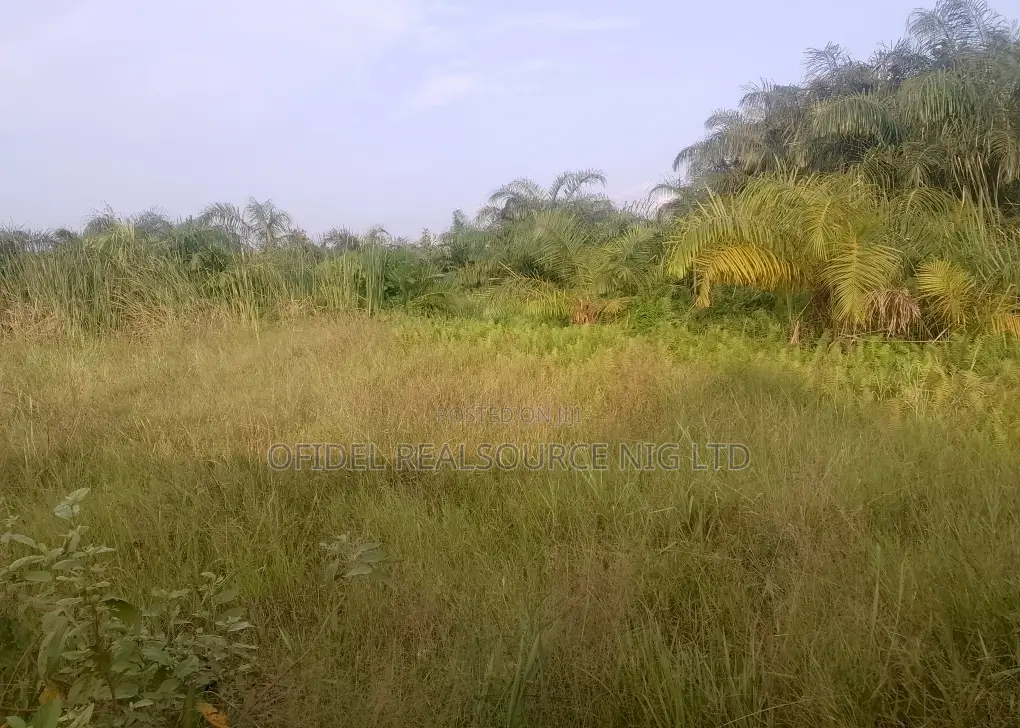 Premium 5plots of Land Together Within Maba/ Christ Embassy Camp in Obafemi-Owode