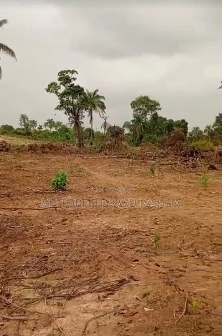 Secure Land in One of Nigeria’S Fastest Growing States in Anambra East