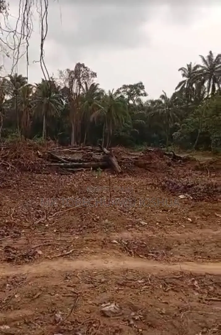 Secure Land in One of Nigeria’S Fastest Growing States in Anambra East