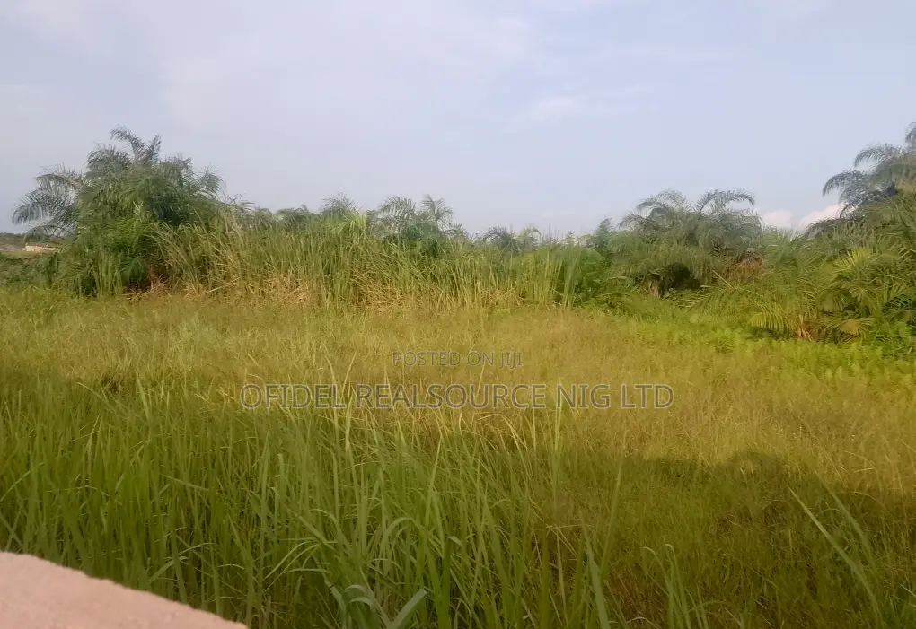 Premium Plot of Land Within Maba Off Redeem Camp/Aseese Link Rd in Obafemi-Owode