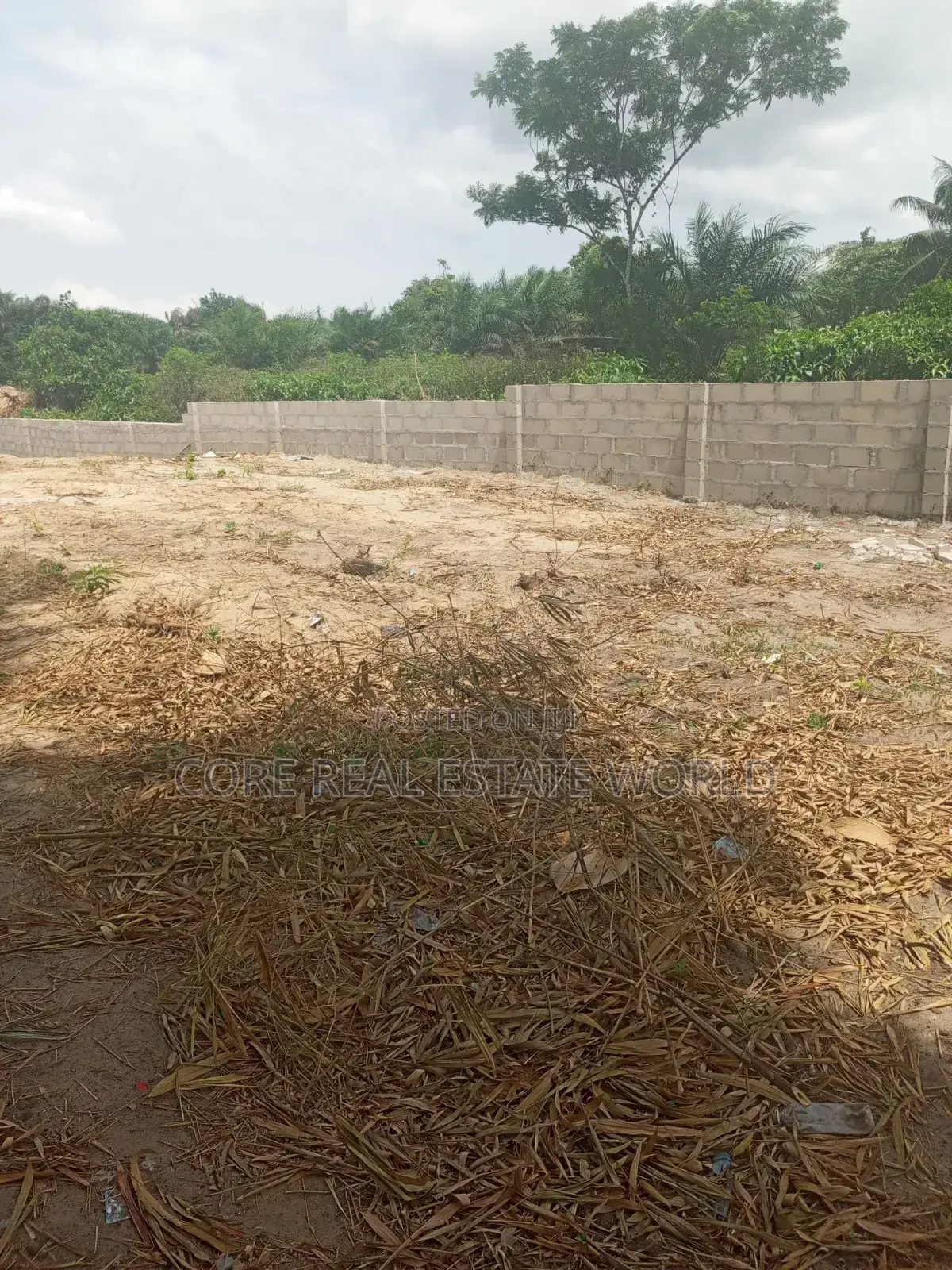 Genuine C of O Land in Bolorunpelu Town Lagos in Elemoro