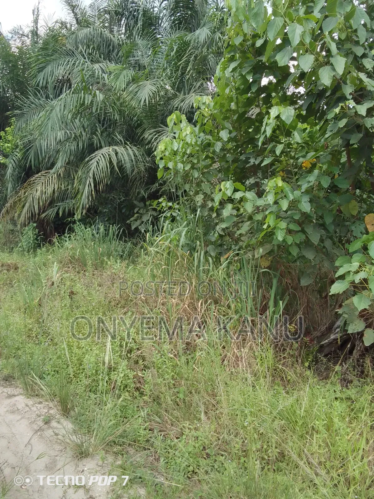 18 Plots Near Abia State Industrial Hub in Ukwa