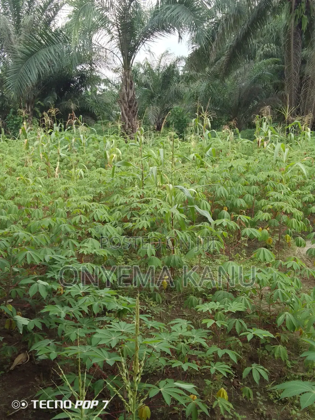 18 Plots Near Abia State Industrial Hub in Ukwa
