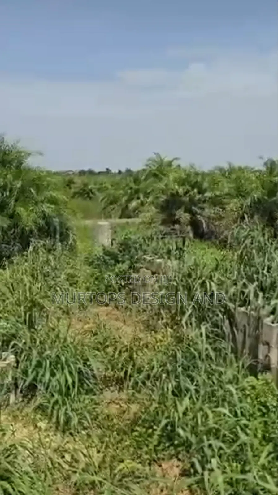 One and Half Acres (9 Plot of Land)At Majidun Facing Ikorodu Road in Ipakodo