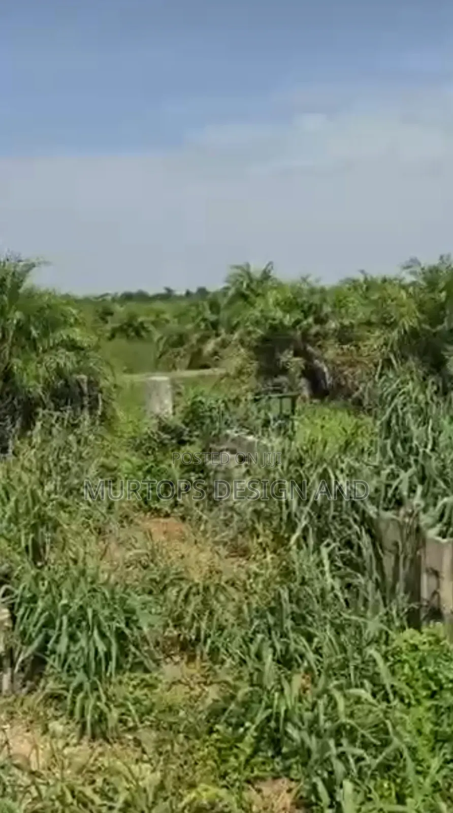 One and Half Acres (9 Plot of Land)At Majidun Facing Ikorodu Road in Ipakodo