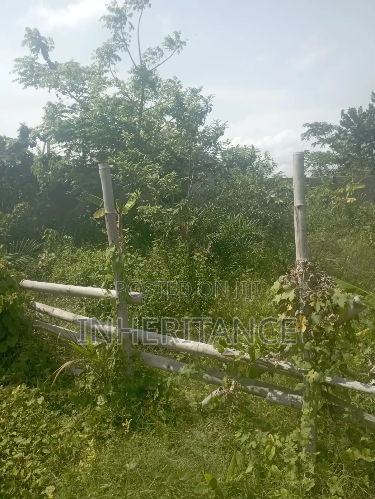 Full Plot of Land in Agric