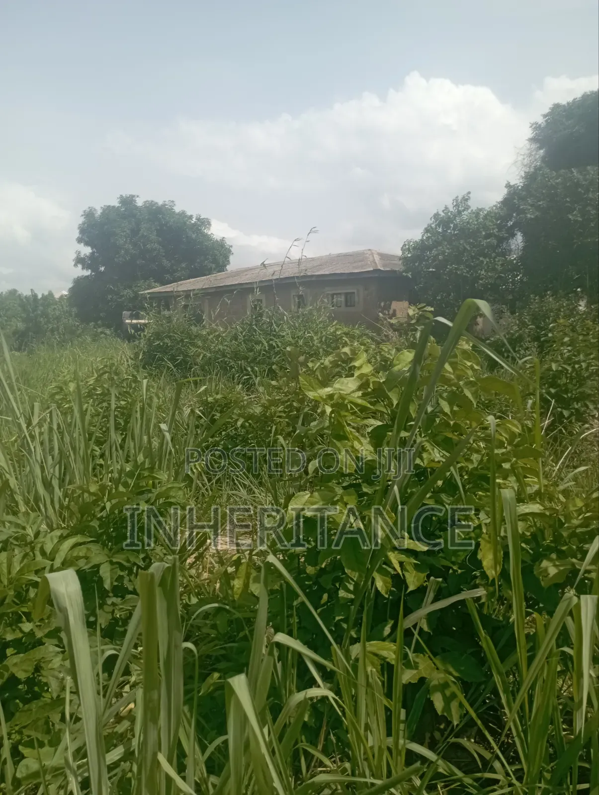 1plot of Land in Igbogbo